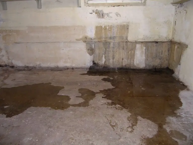 wet basement